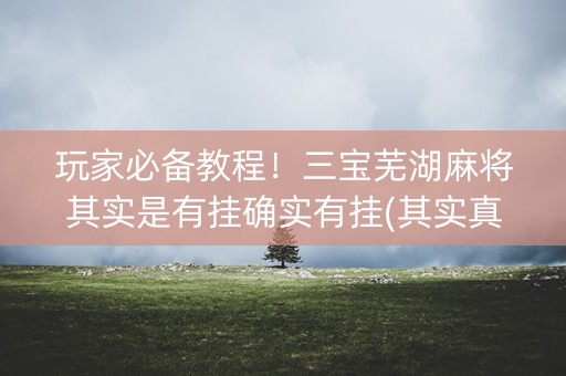 玩家必备教程！三宝芜湖麻将其实是有挂确实有挂(其实真的确实有挂)