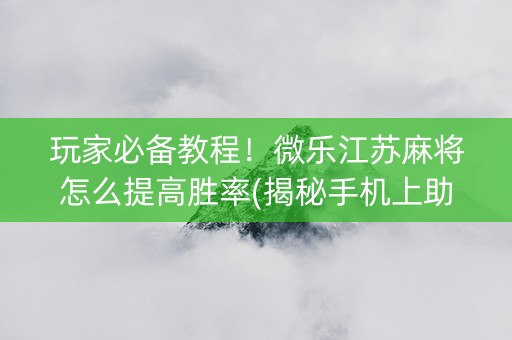 玩家必备教程！微乐江苏麻将怎么提高胜率(揭秘手机上助手软件)