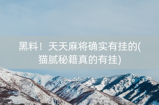 黑料！天天麻将确实有挂的(猫腻秘籍真的有挂)