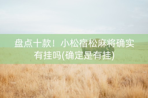 盘点十款！小松宿松麻将确实有挂吗(确定是有挂)