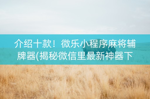 介绍十款！微乐小程序麻将辅牌器(揭秘微信里最新神器下载)