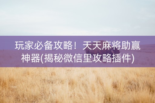 玩家必备攻略！天天麻将助赢神器(揭秘微信里攻略插件)