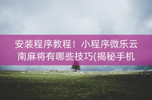安装程序教程！小程序微乐云南麻将有哪些技巧(揭秘手机上助手软件)