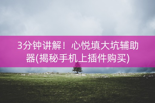 3分钟讲解！心悦填大坑辅助器(揭秘手机上插件购买)