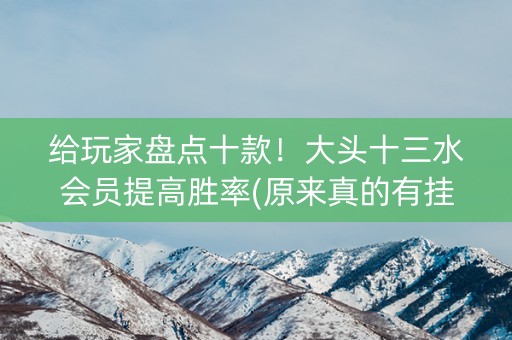 给玩家盘点十款！大头十三水会员提高胜率(原来真的有挂)