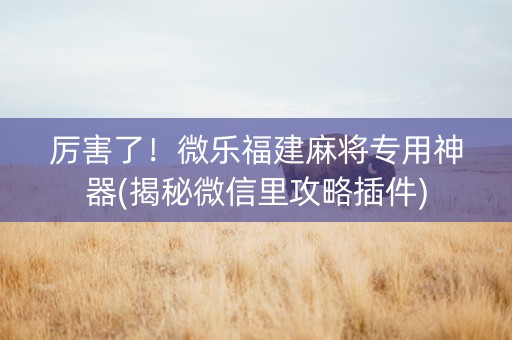 厉害了！微乐福建麻将专用神器(揭秘微信里攻略插件)