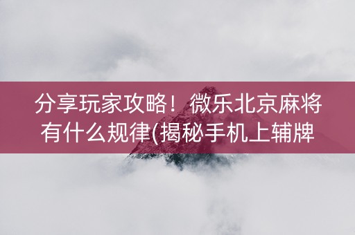 分享玩家攻略！微乐北京麻将有什么规律(揭秘手机上辅牌器)