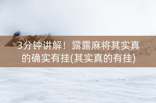 3分钟讲解！露露麻将其实真的确实有挂(其实真的有挂)