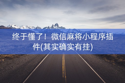 终于懂了！微信麻将小程序插件(其实确实有挂)