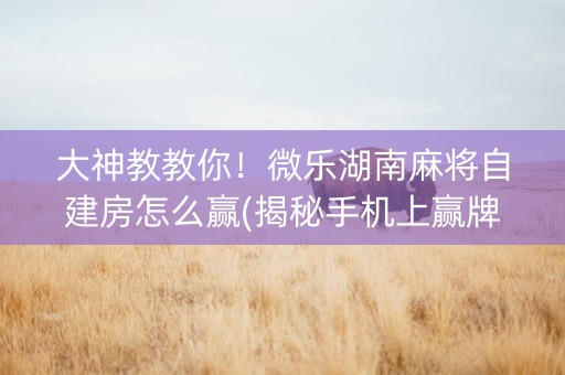 大神教教你！微乐湖南麻将自建房怎么赢(揭秘手机上赢牌技巧)