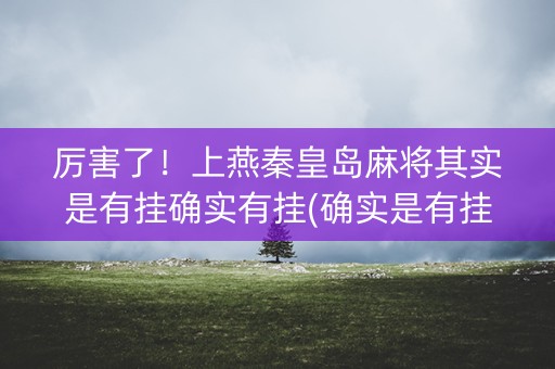 厉害了！上燕秦皇岛麻将其实是有挂确实有挂(确实是有挂)