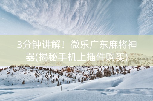 3分钟讲解！微乐广东麻将神器(揭秘手机上插件购买)