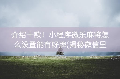 介绍十款！小程序微乐麻将怎么设置能有好牌(揭秘微信里胜率到哪调)