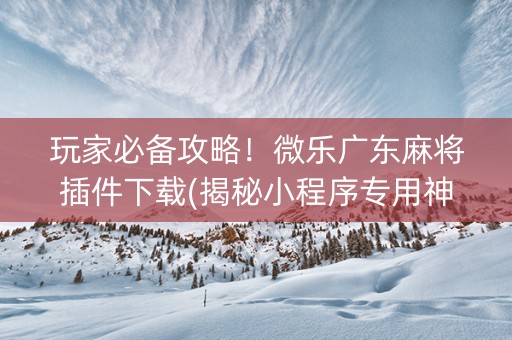 玩家必备攻略！微乐广东麻将插件下载(揭秘小程序专用神器)