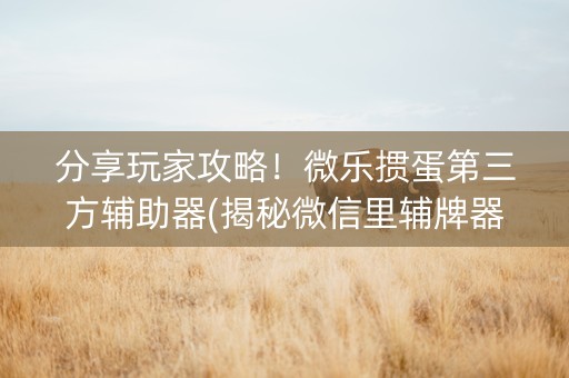 分享玩家攻略！微乐掼蛋第三方辅助器(揭秘微信里辅牌器)