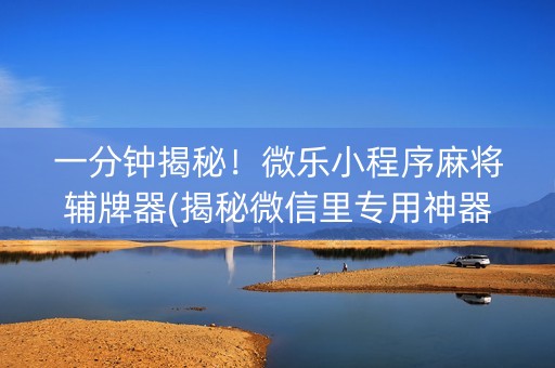 一分钟揭秘！微乐小程序麻将辅牌器(揭秘微信里专用神器下载)