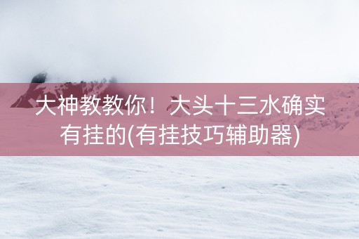 大神教教你！大头十三水确实有挂的(有挂技巧辅助器)