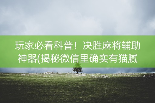 玩家必看科普！决胜麻将辅助神器(揭秘微信里确实有猫腻)