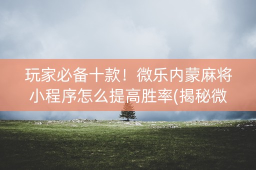 玩家必备十款！微乐内蒙麻将小程序怎么提高胜率(揭秘微信里系统发好牌)