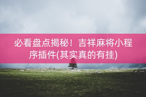 必看盘点揭秘！吉祥麻将小程序插件(其实真的有挂)