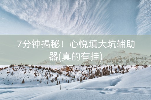 7分钟揭秘！心悦填大坑辅助器(真的有挂)