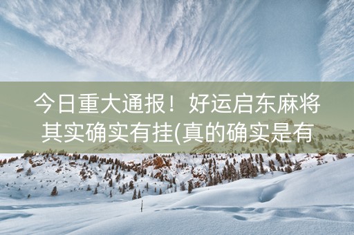 今日重大通报！好运启东麻将其实确实有挂(真的确实是有挂)