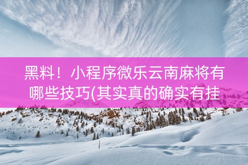黑料！小程序微乐云南麻将有哪些技巧(其实真的确实有挂)
