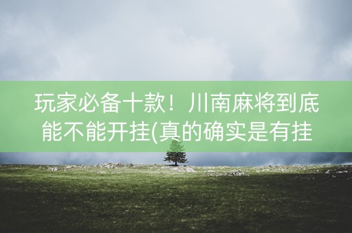 玩家必备十款！川南麻将到底能不能开挂(真的确实是有挂)