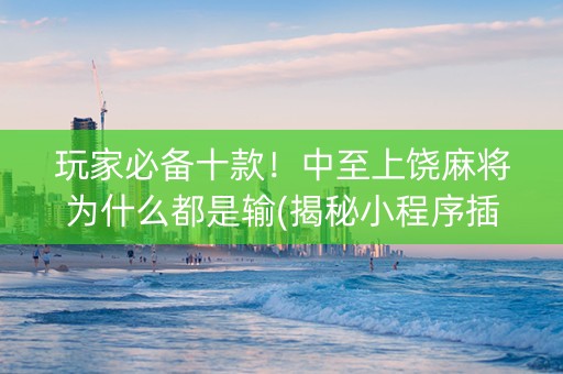 玩家必备十款！中至上饶麻将为什么都是输(揭秘小程序插件下载)