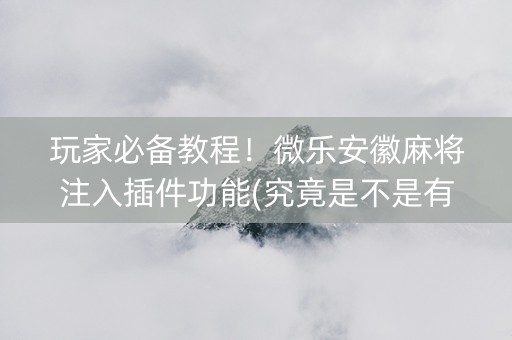 玩家必备教程！微乐安徽麻将注入插件功能(究竟是不是有挂)