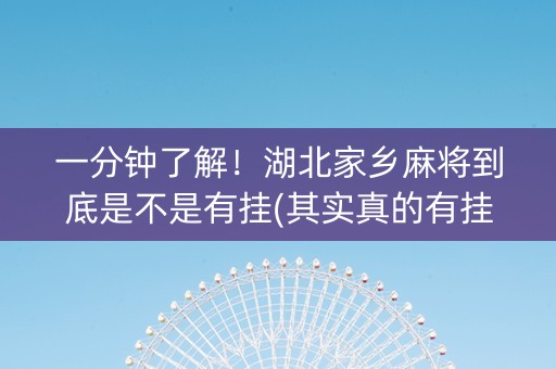 一分钟了解！湖北家乡麻将到底是不是有挂(其实真的有挂)
