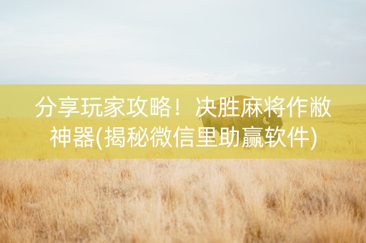 分享玩家攻略！决胜麻将作敝神器(揭秘微信里助赢软件)