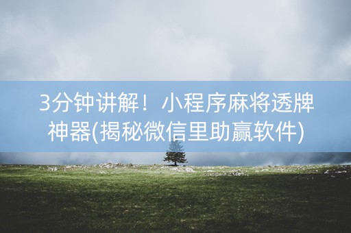 3分钟讲解！小程序麻将透牌神器(揭秘微信里助赢软件)