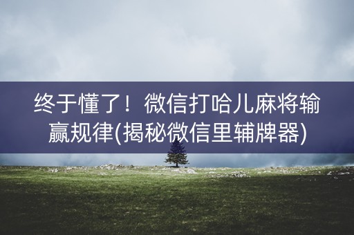 终于懂了！微信打哈儿麻将输赢规律(揭秘微信里辅牌器)