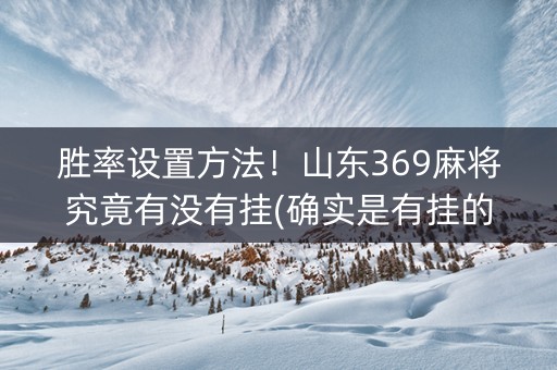 胜率设置方法！山东369麻将究竟有没有挂(确实是有挂的)