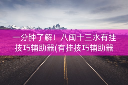 一分钟了解！八闽十三水有挂技巧辅助器(有挂技巧辅助器)