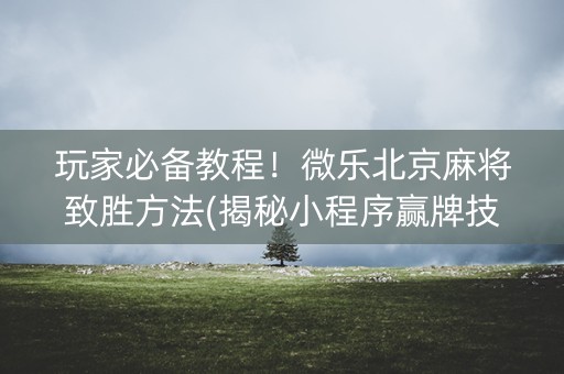 玩家必备教程！微乐北京麻将致胜方法(揭秘小程序赢牌技巧)