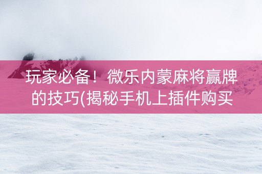 玩家必备！微乐内蒙麻将赢牌的技巧(揭秘手机上插件购买)