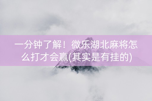 一分钟了解！微乐湖北麻将怎么打才会赢(其实是有挂的)