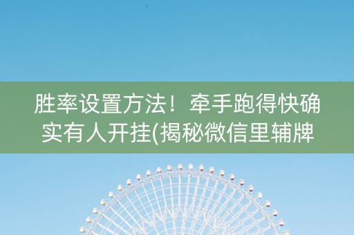 胜率设置方法！牵手跑得快确实有人开挂(揭秘微信里辅牌器)