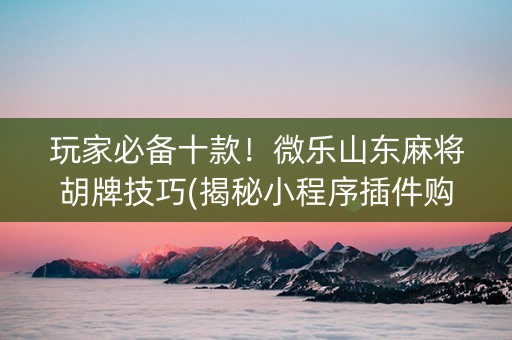 玩家必备十款！微乐山东麻将胡牌技巧(揭秘小程序插件购买)
