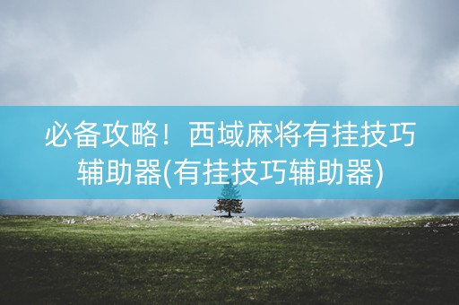 必备攻略！西域麻将有挂技巧辅助器(有挂技巧辅助器)