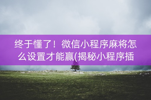 终于懂了！微信小程序麻将怎么设置才能赢(揭秘小程序插件免费)
