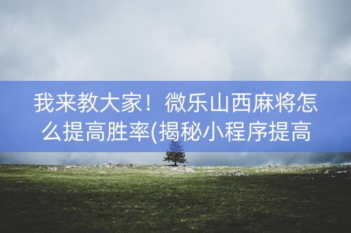 我来教大家！微乐山西麻将怎么提高胜率(揭秘小程序提高胜率)
