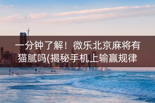 一分钟了解！微乐北京麻将有猫腻吗(揭秘手机上输赢规律)