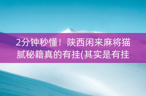 2分钟秒懂！陕西闲来麻将猫腻秘籍真的有挂(其实是有挂的)