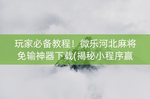 玩家必备教程！微乐河北麻将免输神器下载(揭秘小程序赢牌技巧)