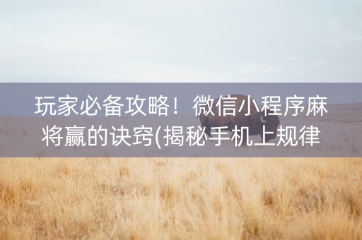 玩家必备攻略！微信小程序麻将赢的诀窍(揭秘手机上规律攻略)