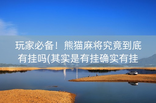 玩家必备！熊猫麻将究竟到底有挂吗(其实是有挂确实有挂)