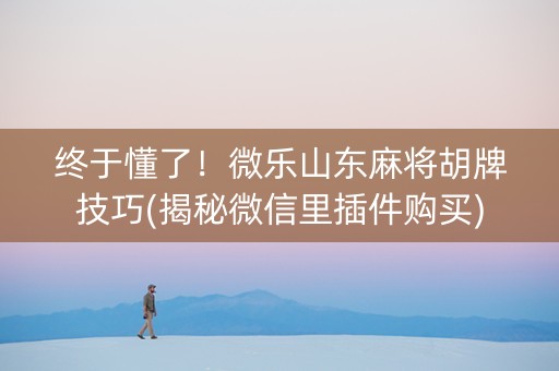 终于懂了！微乐山东麻将胡牌技巧(揭秘微信里插件购买)